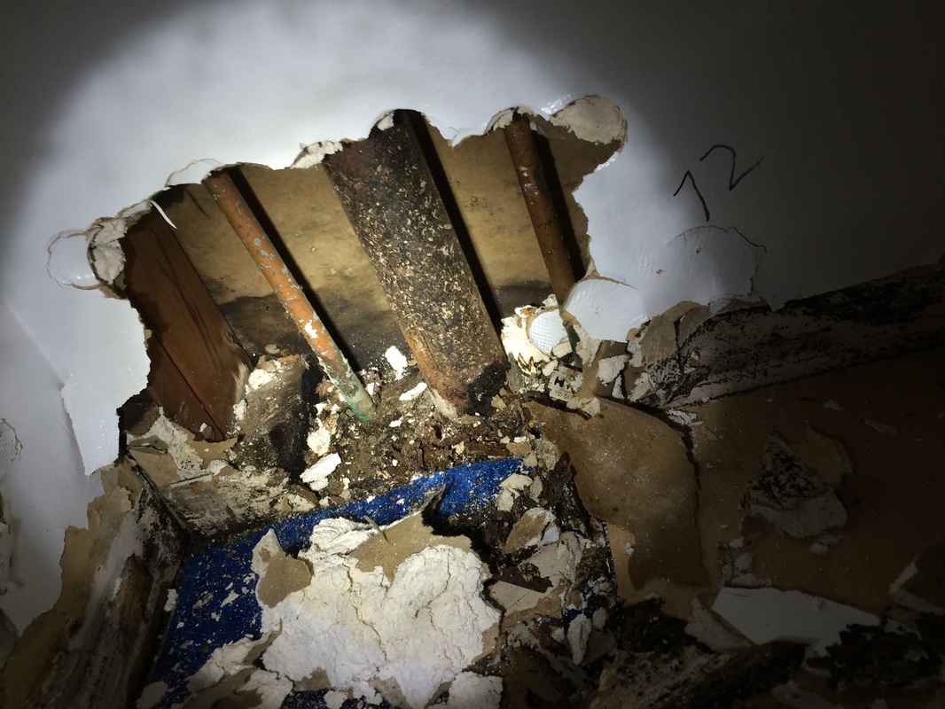 plumbing - Is this what a leaking toilet looks like? - Home Improvement  Stack Exchange